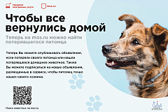 Чтобы все вернулись домой