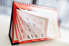 План-график проведения вакцинации против бешенства собак и кошек в районе Орехово-Борисово Южное 