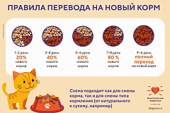 Перевод питомца на новый корм 