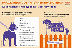Гуляем правильно! Правила выгула собак